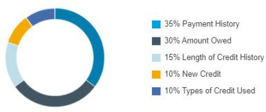 How your credit score is determined